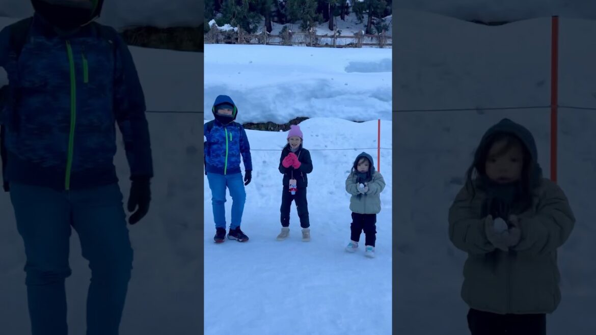 Snow time in Yuzawa, Niigata, Japan ❄️⛄️ #DelaCruzFamilyAdventures