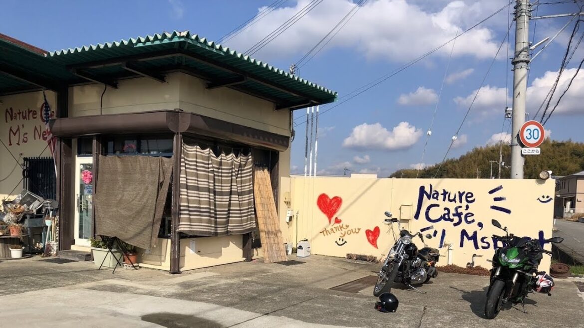 Nature Café M’s Nest & WAKAYAMA MARINA Nature Café M’s Nest & WAKAYAMA MARINA