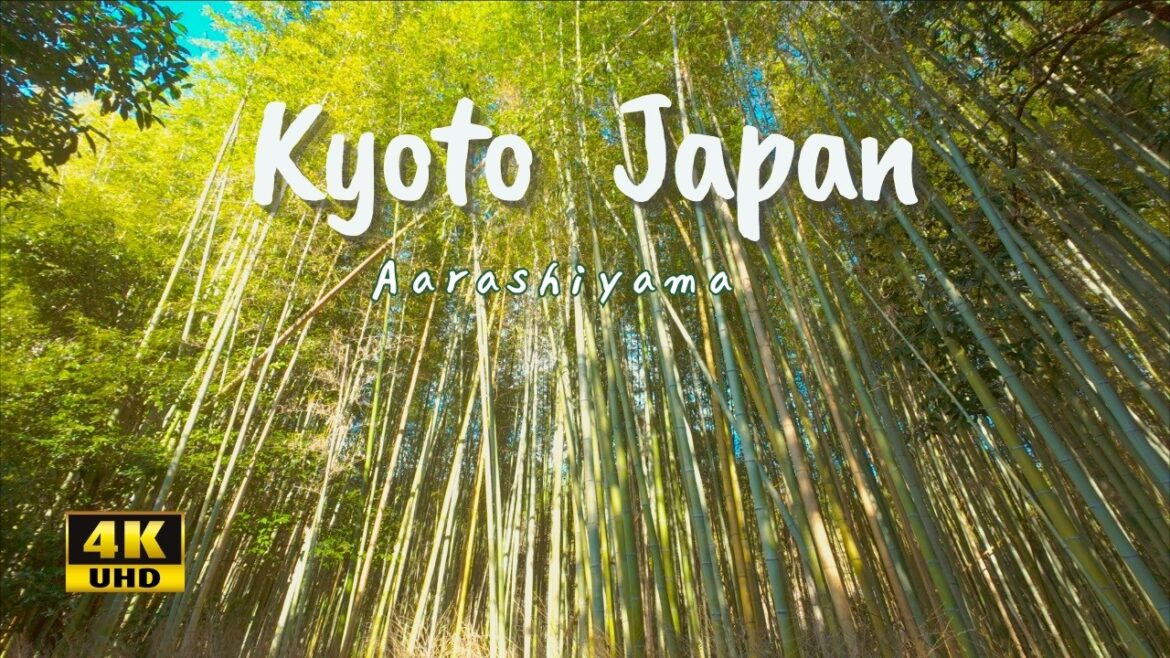 [Travel Japan] Walking Tour Kyoto's Arashiyama: The Bamboo Grove