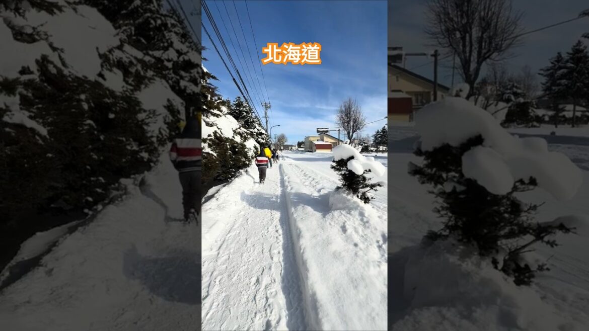 函館市：位於日本北海道の南端，冬之雪！Hakodate city located in Hokkaido, Japan＃Hokkaido