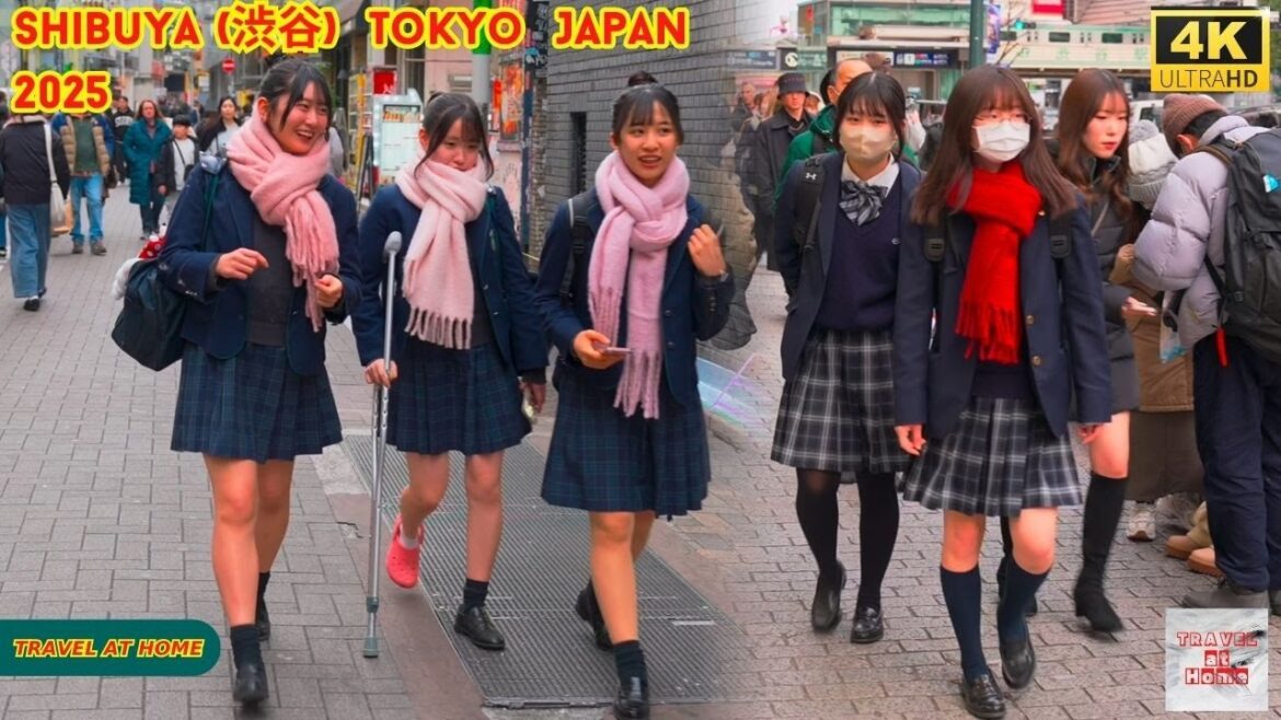 4k hdr Japan travel 2025 | Walk in Shibuya (渋谷) Tokyo Japan | Relaxing Natural City ambience 4k hdr Japan travel 2025 | Walk in Shibuya (渋谷) Tokyo Japan | Relaxing Natural City ambience