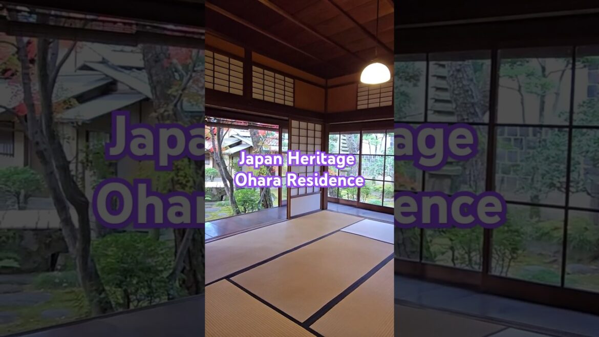Preserving History: The Ohara Residence in Kurashiki #japanheritage #Kurashiki #autumncolors