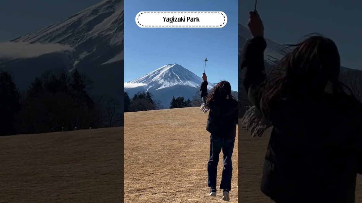 🗻 Best Spots To See Mt. Fuji In Kawaguchiko! 🗻 Best Spots To See Mt. Fuji In Kawaguchiko!