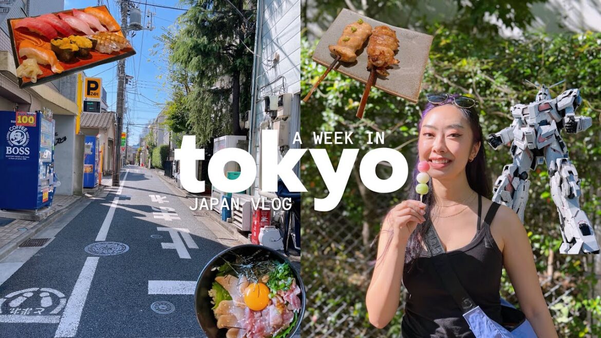 japan vlog 🍡 a week in tokyo: shibuya, teamlabs, asakusa, shiba cafe, gundam, ueno park, kabukicho