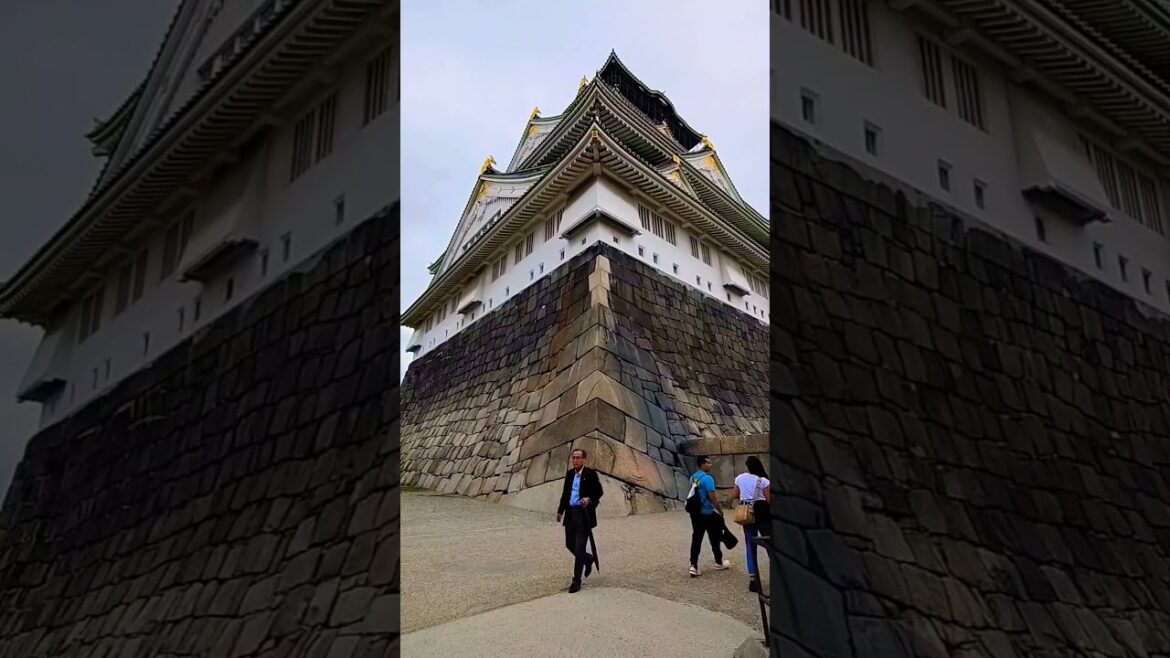 Japan’s Tallest Castle Wall Up Close! 🏯 #japan #osakajapan #travel #osaka #traveljapan