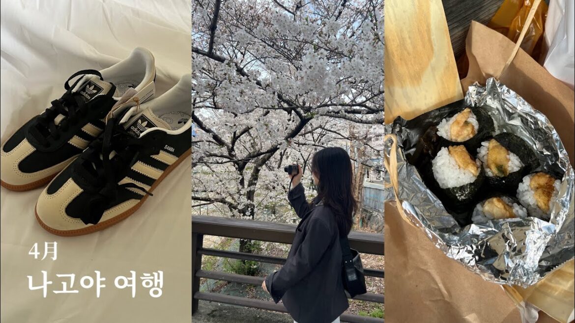 4月 나고야 브이로그 NAGOYA VLOG 1일차(맛보기)𓈒 ˖ ࣪ 𝜗𝜚 일본벚꽃여행,나고야호텔,이치란,야키니쿠본즈,사카에,오스상점가,나고야쇼핑,돈키호테추천템 | j.vinsday