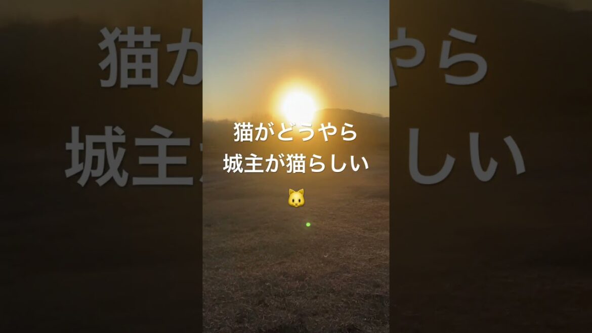 【日本一周990日目】【岡山県総社市】#旅#日本一周#リヤカーで日本一周#岡山県#総社市