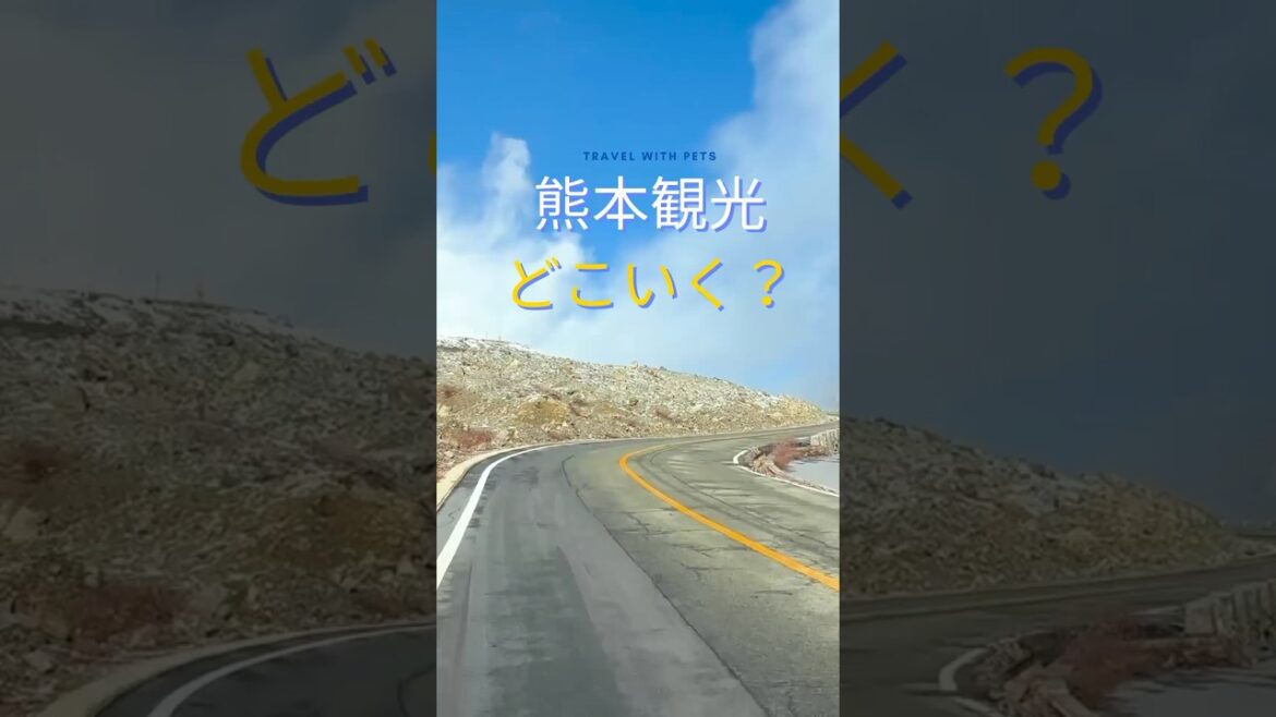 熊本観光：ペットも一緒に旅　見どころ一杯の熊本編