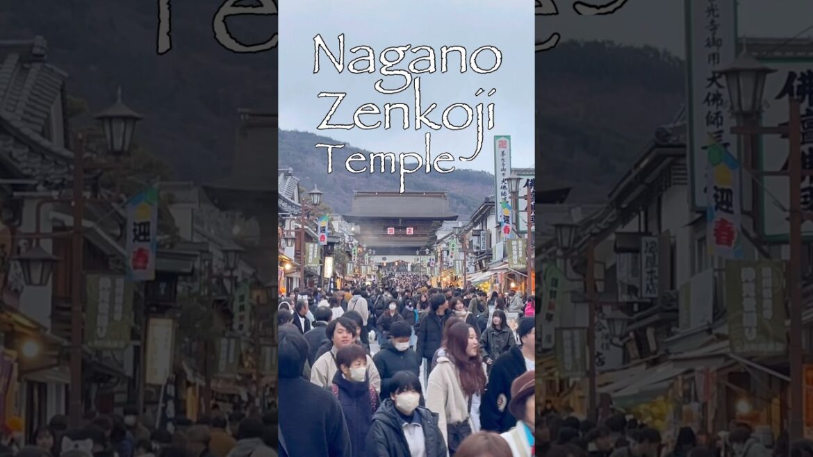 Zenkoji Temple Nagano #travel #japan #nagano #zenkoji #jdmjapan #buddah
