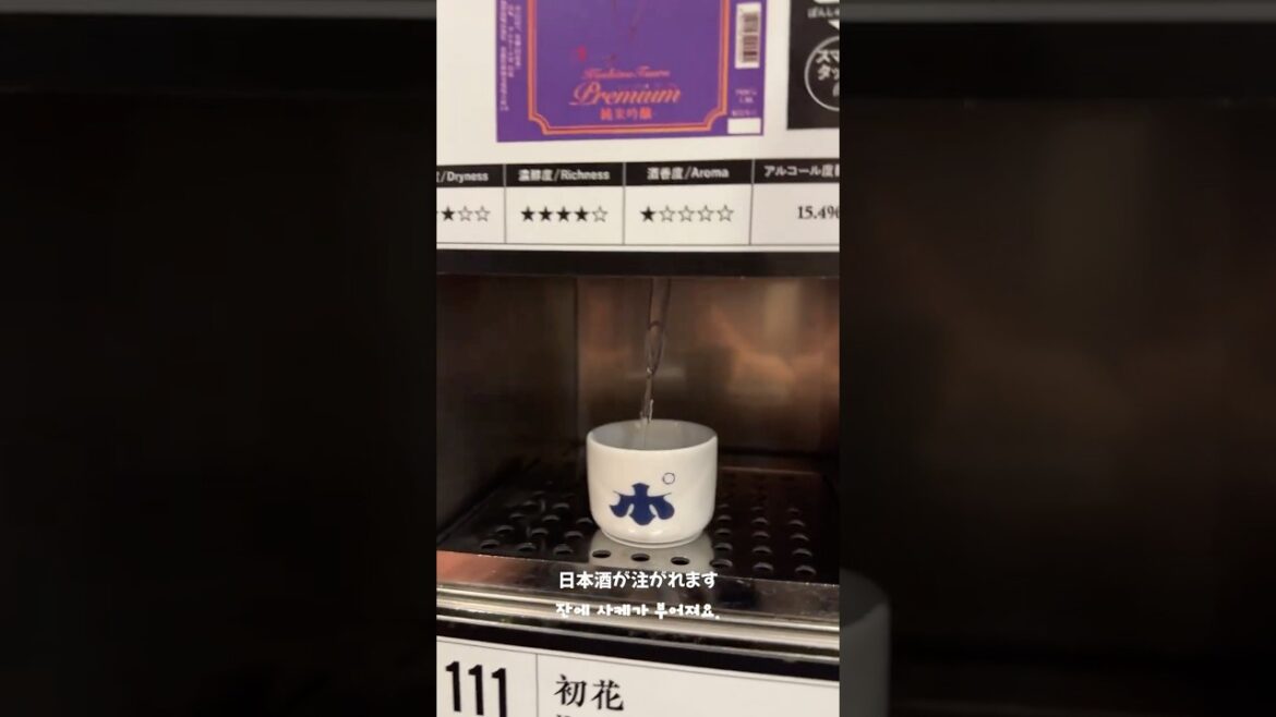 500円で日本酒100種類🍶足湯で癒し! 新潟の最高体験!