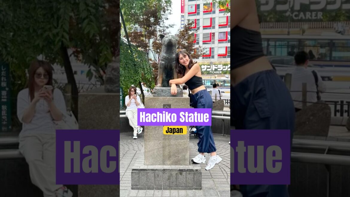 Hachiko Statue, Shibuya | Japan | Hachiko Dog Statue #hachikostatue #hachiko #dog #doglover #shorts Hachiko Statue, Shibuya | Japan | Hachiko Dog Statue #hachikostatue #hachiko #dog #doglover #shorts
