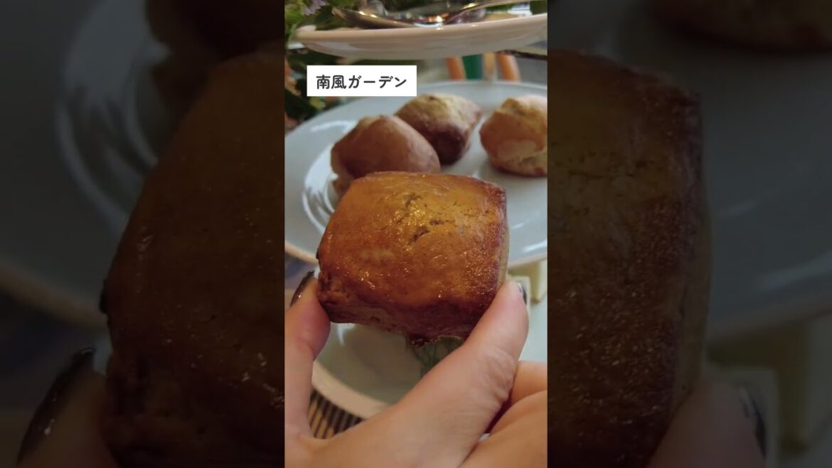 霧島・姶良・大隅エリア|KAGOSHIMA TRIP #shorts 霧島・姶良・大隅エリア|KAGOSHIMA TRIP #shorts