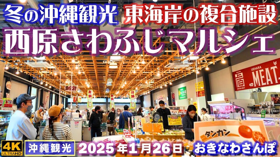 ◤沖縄旅行☂雨の日もOK◢ 東海岸の複合施設『西原さわふじマルシェ＆東部やちむん市』♯917 おきなわさんぽ The 62nd Nago Cherry Blossom Festival.