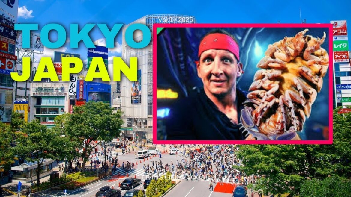 The REAL Difference Between Tourist and Local in Tokyo! The REAL Difference Between Tourist and Local in Tokyo!