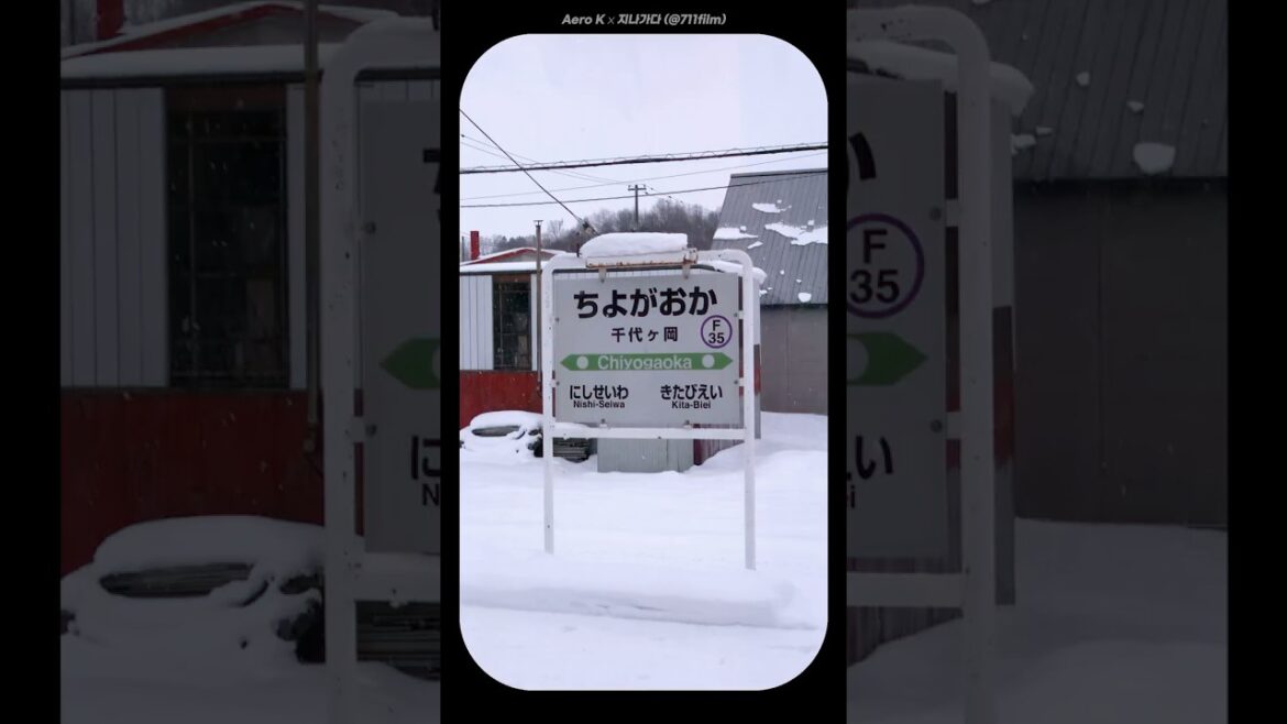 추신, 나도 네 꿈을 꿔 ( in sappro ) 추신, 나도 네 꿈을 꿔 ( in sappro )
