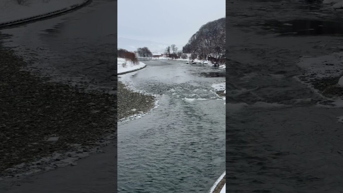 #空知川 #北海道　#自然 #川の風景 #癒し #日本の風景 #旅の記録 #静かな時間 #Hokkaido #RiverView #NatureLovers #ScenicJapan #Travel