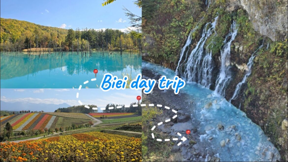 half-day Biei adventure: exactly what I wanted!!