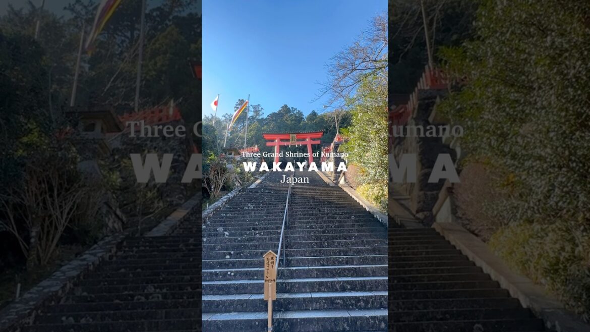 Three Grand Shrines of Kumano #adventure #wakayama