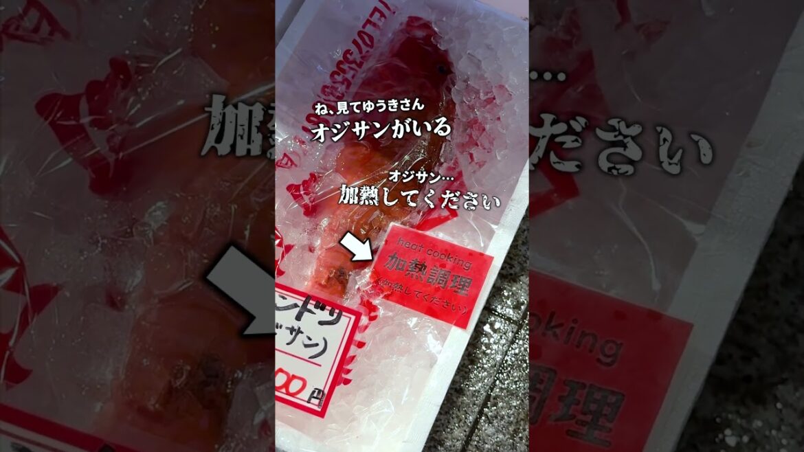 からだ中の脂肪たちが喜ぶ…海鮮天国なテーマパークに行ってきた #shorts からだ中の脂肪たちが喜ぶ…海鮮天国なテーマパークに行ってきた #shorts