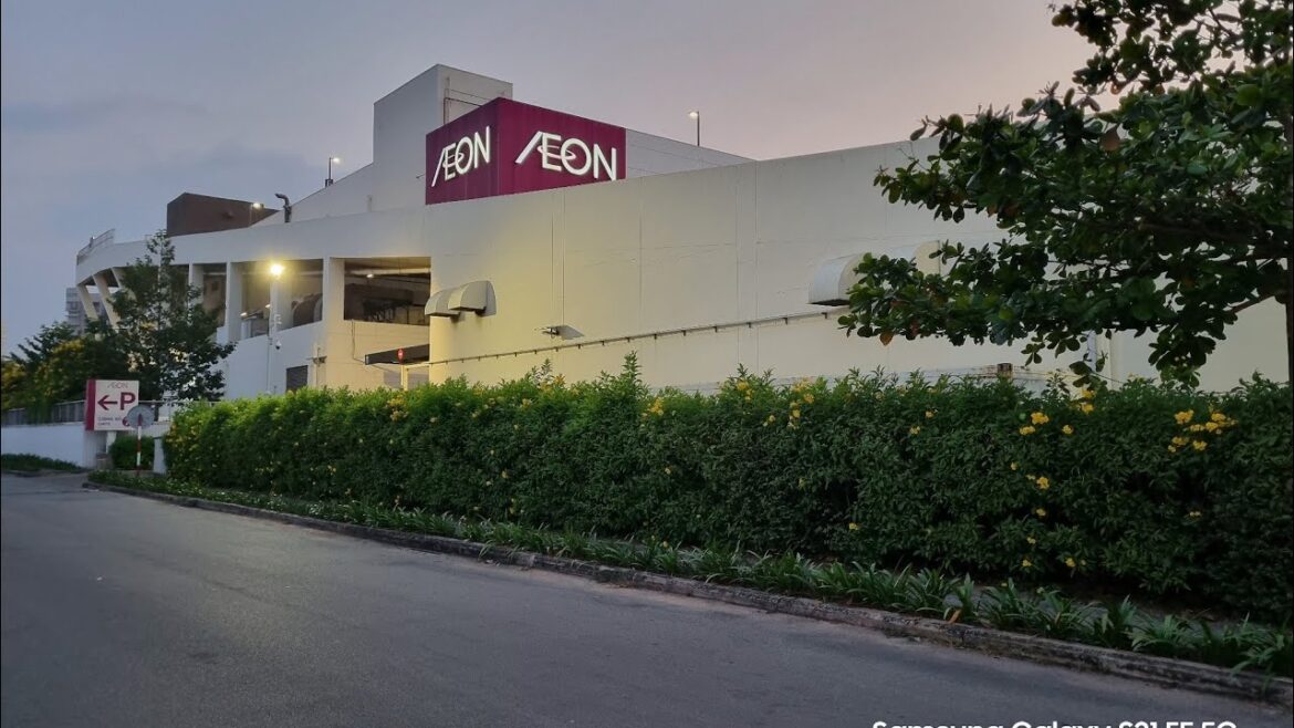 Travel Experience at AEON Shopping Mall.