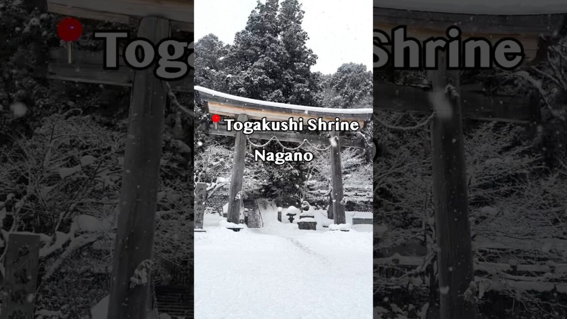⛩️⛄️ Togakushi Shrine – Nagano ⛩️⛄️ Togakushi Shrine - Nagano