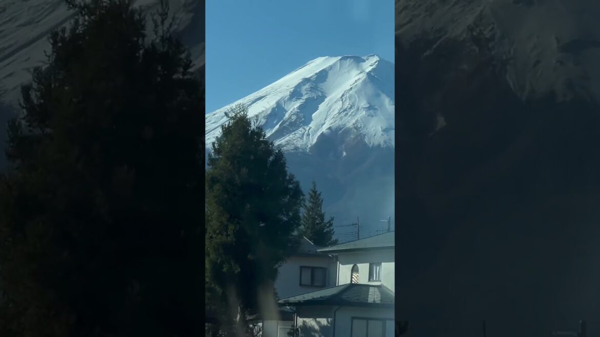 Mt Fuji Cycle daytrip out of Tokyo was super fun!