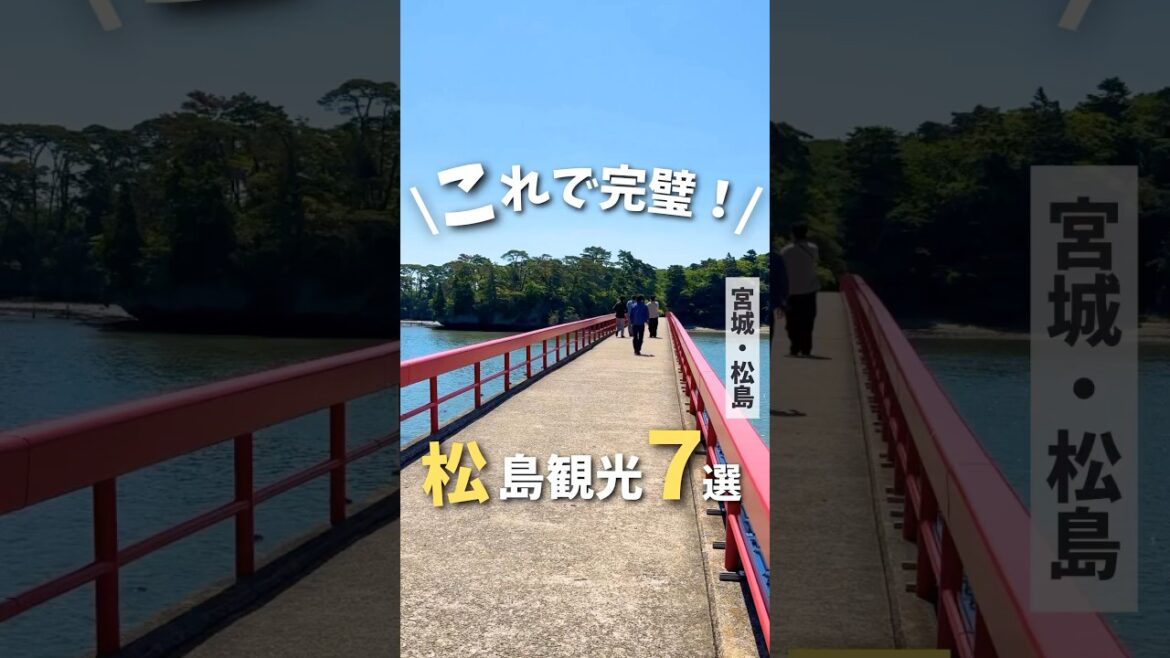 【宮城旅行】これで完璧✨松島観光7選🦪#宮城 #松島 #宮城観光 #牡蠣 #japantravel #japanesefood #japanvlog #matsushima #shorts