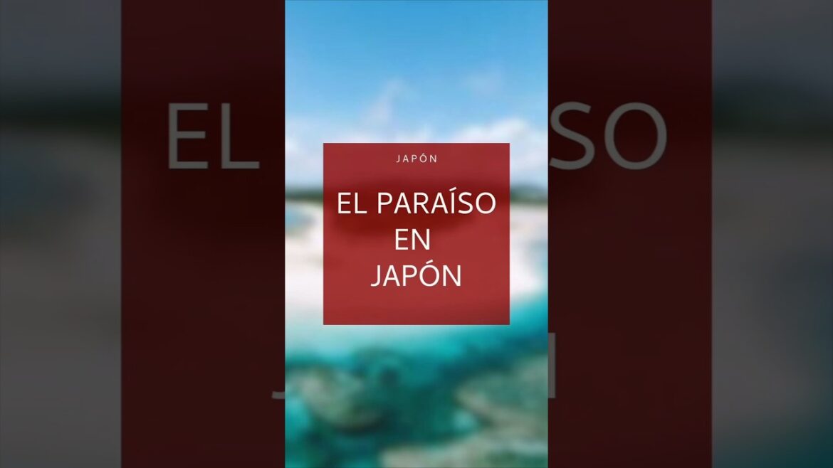 ¿Conocías este Japón? #japon #japan #japones #japantravel #japantrip #okinawa #japanvlog #japanese