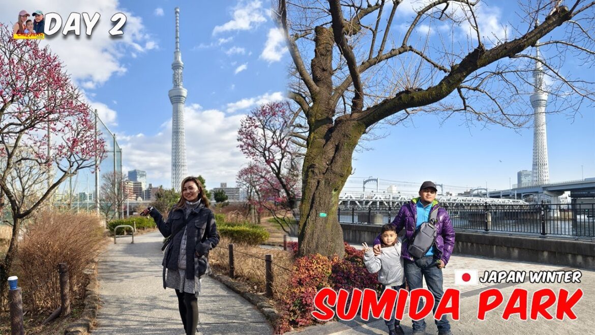 Japan Winter Day 2 - Exploring Sumida Park, Shibuya Crossing & Hachiko