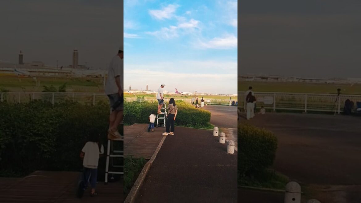 #sakurapark #narita #chiba #japan #naritaairport #viewpoint #travellingsoldier #japantrio #sakurapark #narita #chiba #japan #naritaairport #viewpoint #travellingsoldier #japantrio