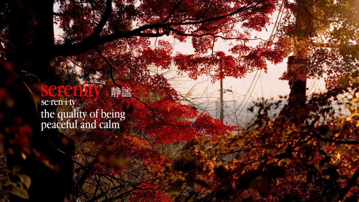 Serenity 静穏 | A short-film shot on Sony a7cii in Japan Serenity 静穏 | A short-film shot on Sony a7cii in Japan