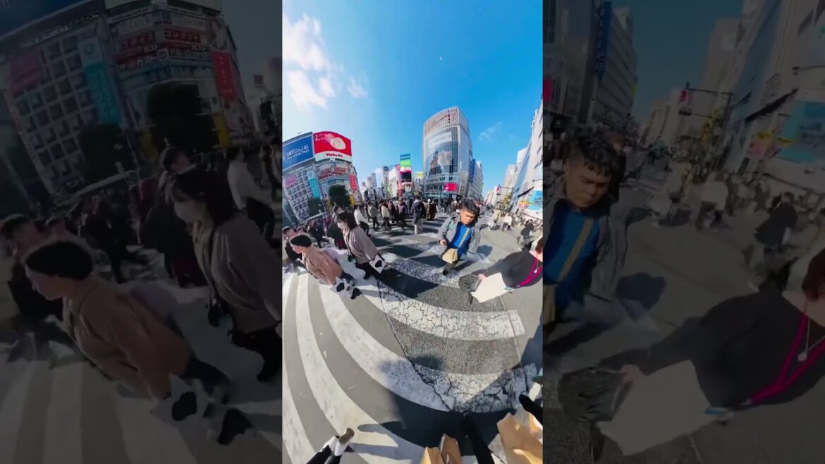 Shibuya Scramble Crossing 2025 #japan #tokyo #shibuya #shorts