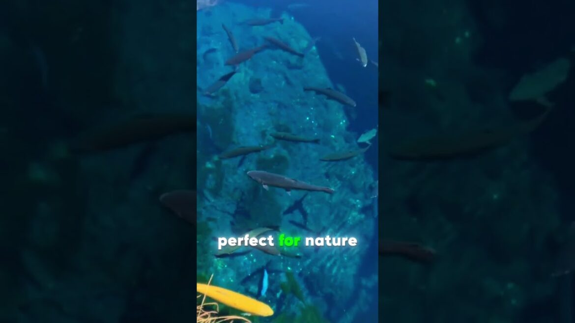 Hidden Gem Near Mount Fuji! 🏔✨ #japan #travel #ytshorts #facts