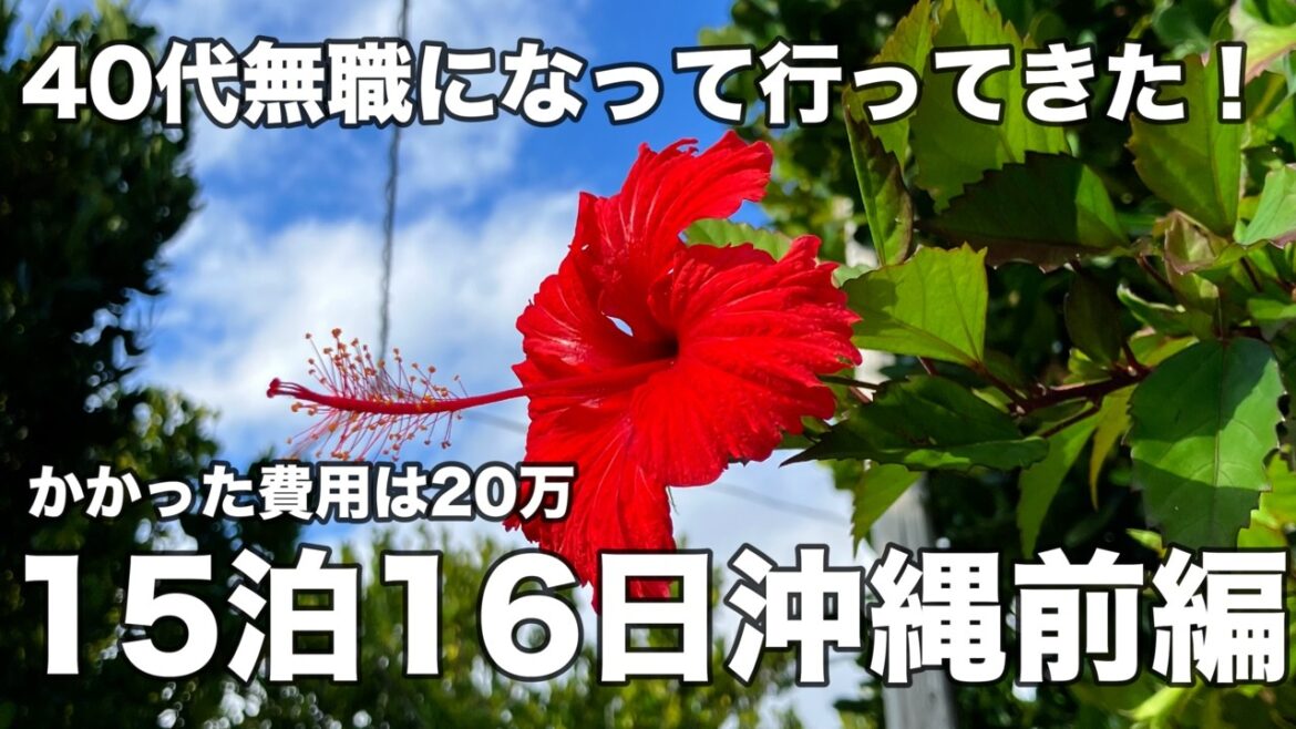 【沖縄】長期沖縄旅行総集編!12月の沖縄で15泊16日の沖縄旅行一気見動画の前編!那覇のグルメから那覇から行ける離島!渡名喜島、久米島、北大東島!沖縄のグルメと観光を目一杯楽しむ40代おじさんの旅行! 【沖縄】長期沖縄旅行総集編!12月の沖縄で15泊16日の沖縄旅行一気見動画の前編!那覇のグルメから那覇から行ける離島!渡名喜島、久米島、北大東島!沖縄のグルメと観光を目一杯楽しむ40代おじさんの旅行!
