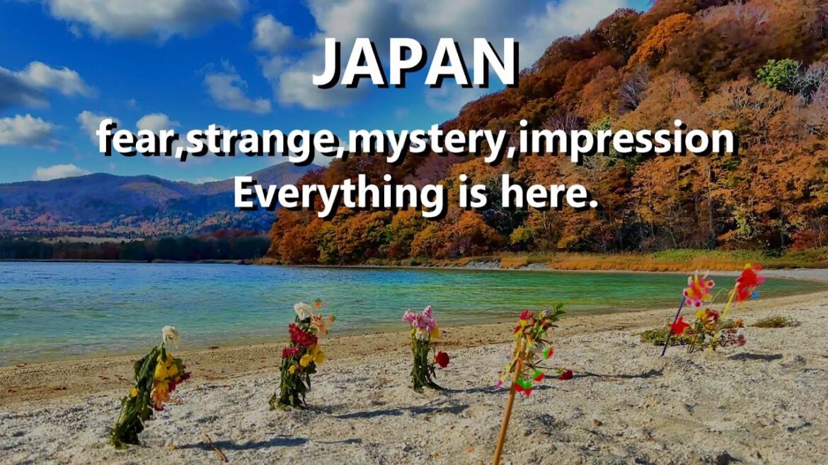 A terrifying experience at a sacred site and a 300 million yen Japanese meal.