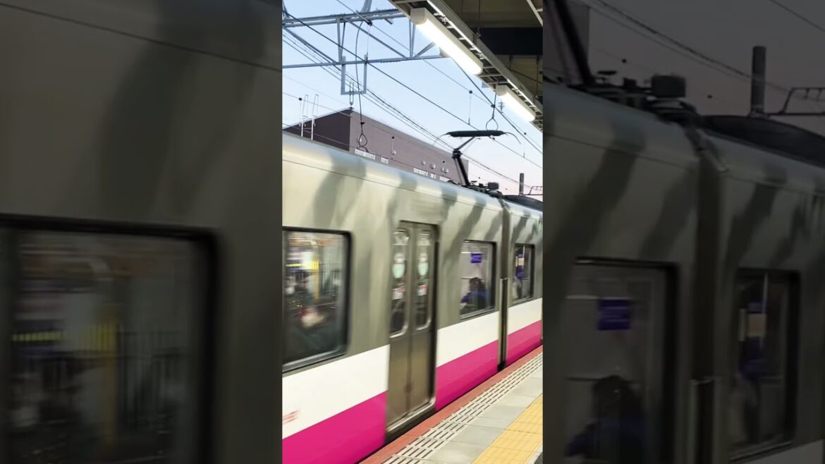 Daily Japan #foryou #train #japanwalk #traveldestinations #travel #chibajapan #chiba