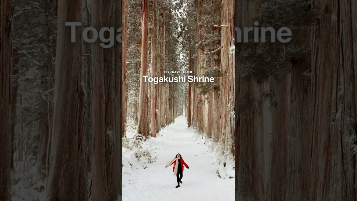 Togakushi Shrine: DIY Travel Guide #travel #snow #nagano Togakushi Shrine: DIY Travel Guide #travel #snow #nagano