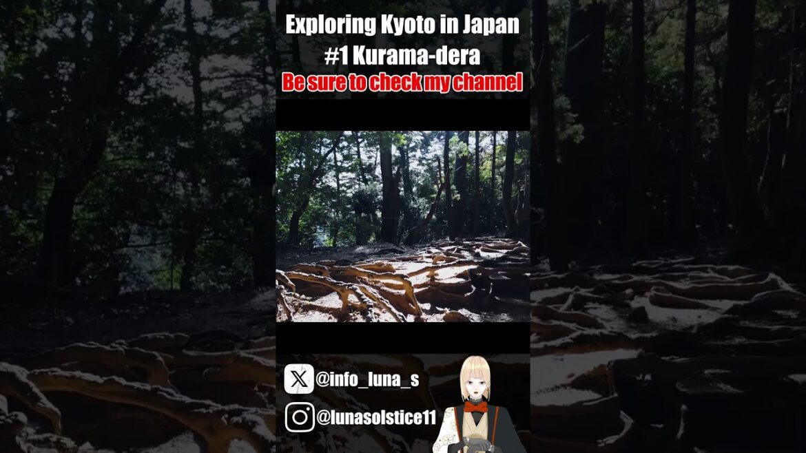 Exploring Kyoto in Japan: EP1 Kurama-dera #vlog  #kyoto  #japantravel  #japaneseculture #shorts