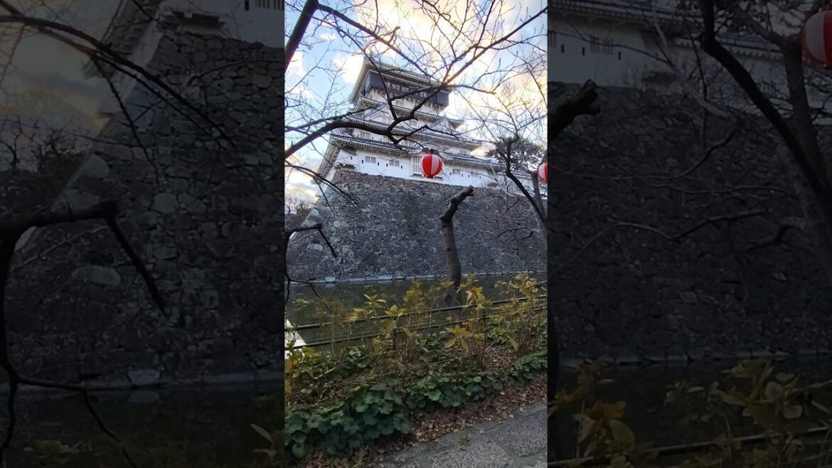 Kitakyushu, Japan 🇯🇵 #japan #kyushu #fukuoka #asia #japanese #river #kitakyushu #castle