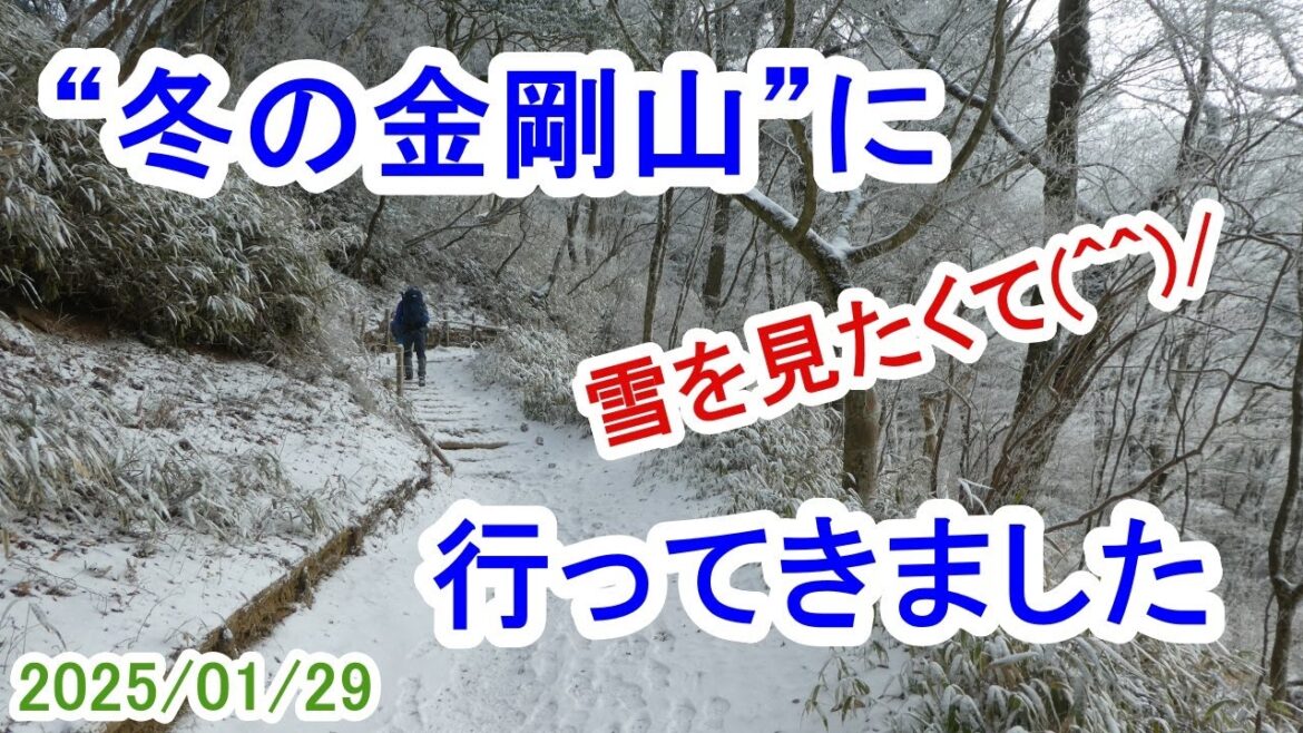 “冬の金剛山”に行ってきました～雪をみたくて（2025/01/29）