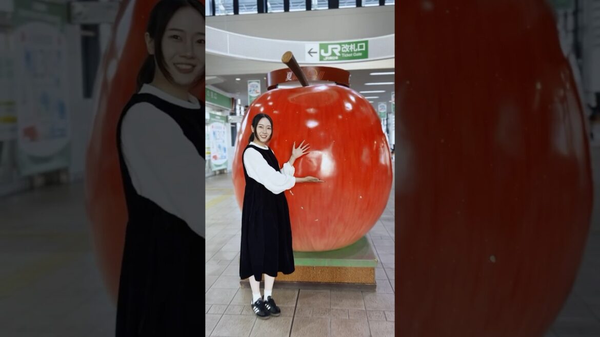 RINGO RINGO RINGO |JNTO RINGO RINGO RINGO |JNTO