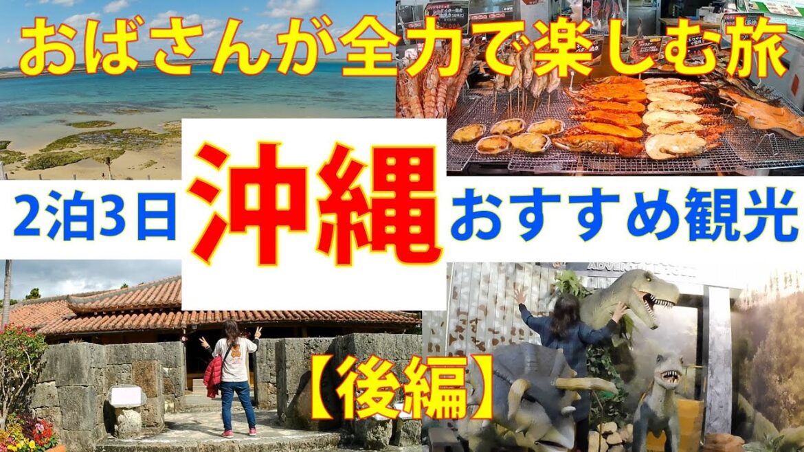 【後編】沖縄2泊3日の旅🌺絶対楽しい🏨おすすめ観光!おばさんが全力で楽しむ旅!ナゴパイナップルパーク・おきなわワールド・ウミカジテラス・道の駅いとまん リブマックスアムス・カンナリゾートヴィラ宿泊 【後編】沖縄2泊3日の旅🌺絶対楽しい🏨おすすめ観光!おばさんが全力で楽しむ旅!ナゴパイナップルパーク・おきなわワールド・ウミカジテラス・道の駅いとまん リブマックスアムス・カンナリゾートヴィラ宿泊