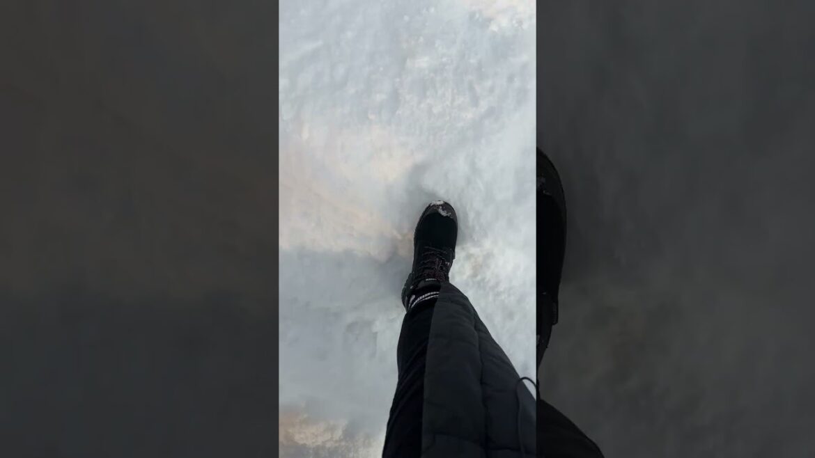 Looking for a place to stay in Hokkaido? Looking for a place to stay in Hokkaido?