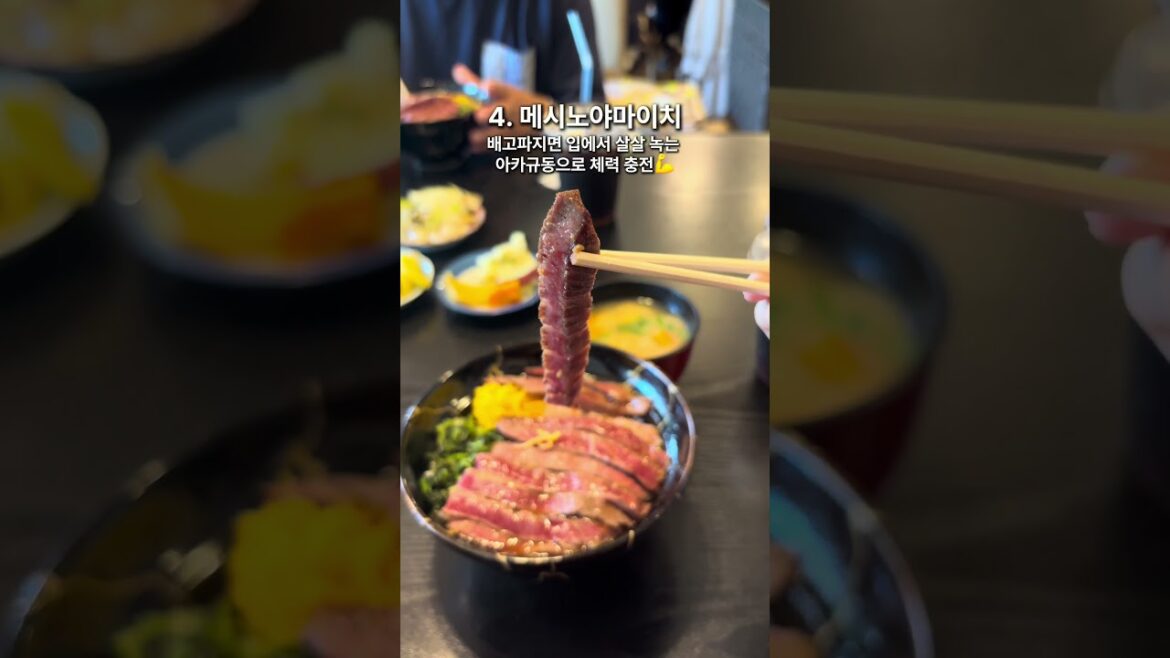 𝐎𝐙마케터가 간다!🏃‍♀️‍➡️╲구마모토를 즐기는 8가지 방법╱