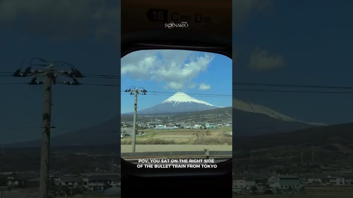 Mount Fuji can be seen from the Tokaido Shinkansen between Tokyo and Osaka 🇯🇵 #japantravel