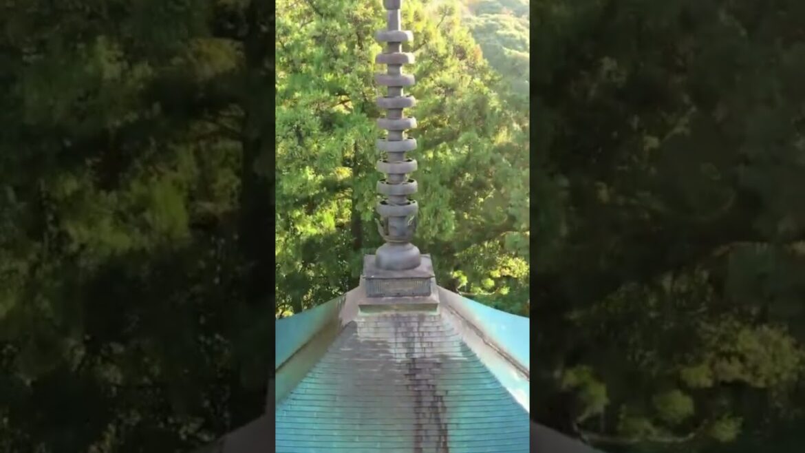 静岡県袋井市油山寺III