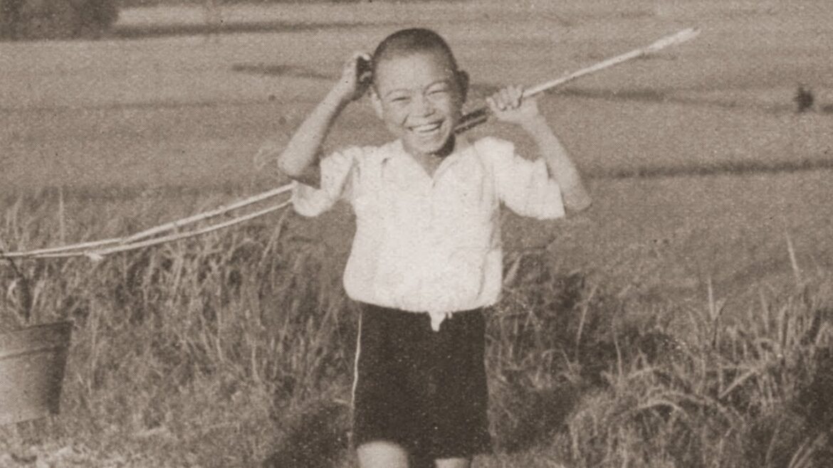 歴史秘話　青梅街道　鍋屋横丁　近道の神様　五柱五成神社・天五色辨財天　ナレーション有　Historical Secrets  Nabeya Yokocho, God of Shortcuts