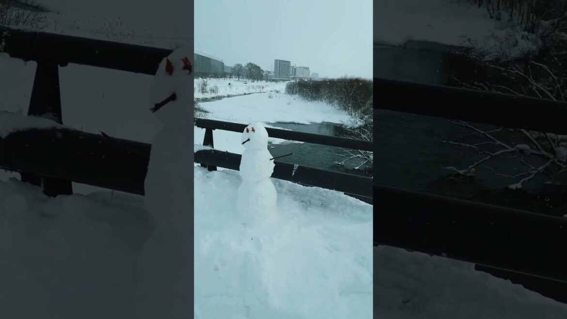 Favorite snowman in Asahikawa☃️