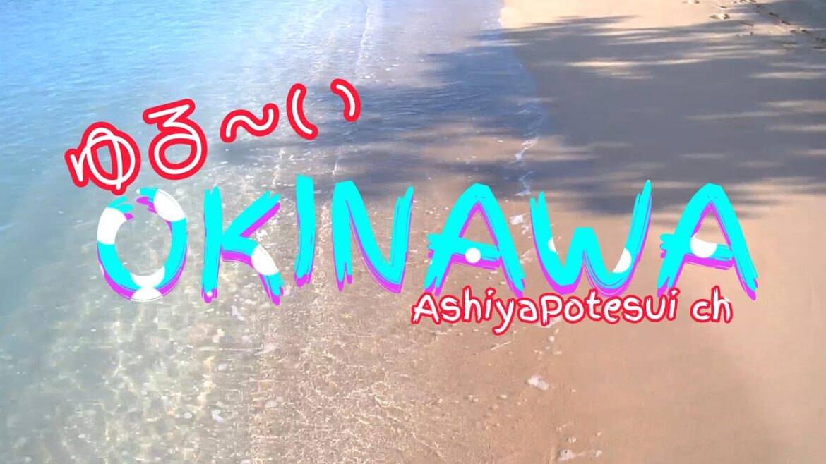 ゆる~い沖縄2024.9 part1 #沖縄オフ会旅行 #名護 #沖縄 ゆる~い沖縄2024.9 part1 #沖縄オフ会旅行 #名護 #沖縄