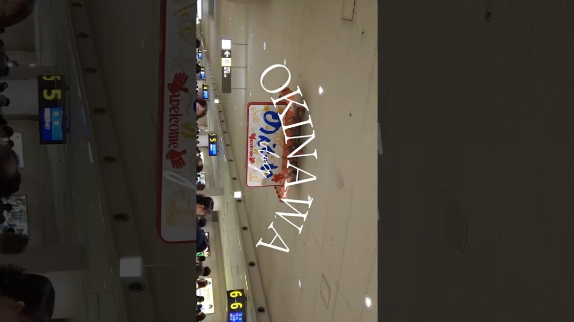#okinawa #travel #vlog